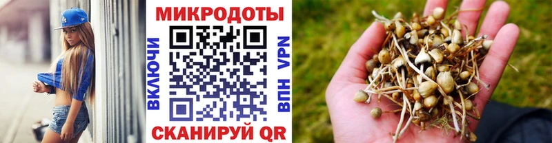 Псилоцибиновые грибы Psilocybe купить наркотики сайты OMG онион Бобров