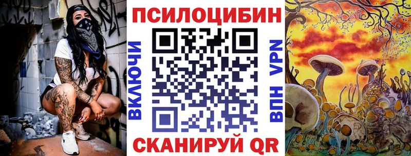 Псилоцибиновые грибы Psilocybe Бобров